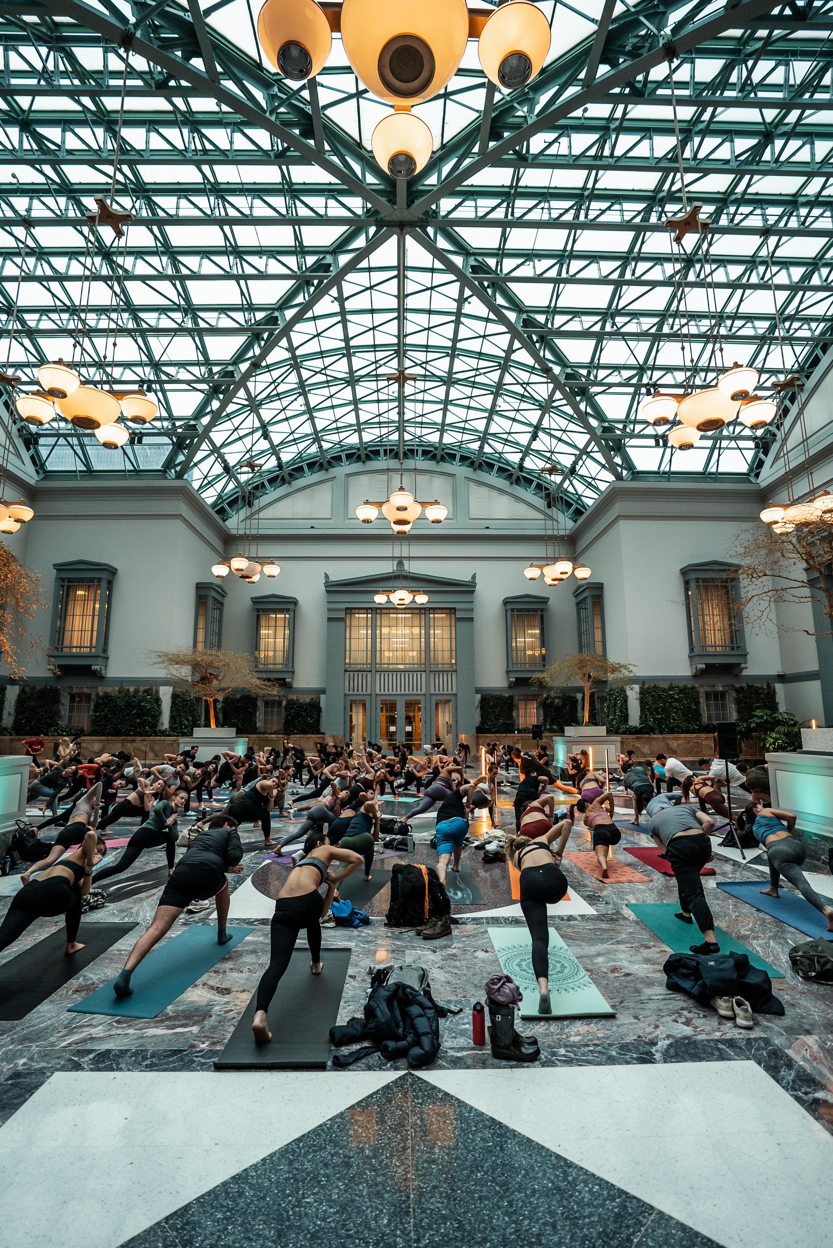 VinHausa event photo 9